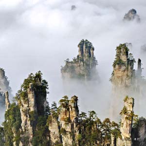 LB線：天門(mén)山、天門(mén)洞、張家界、天子山、楊家界純玩四日游